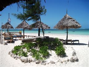 Cool hostels in Zanzibar 