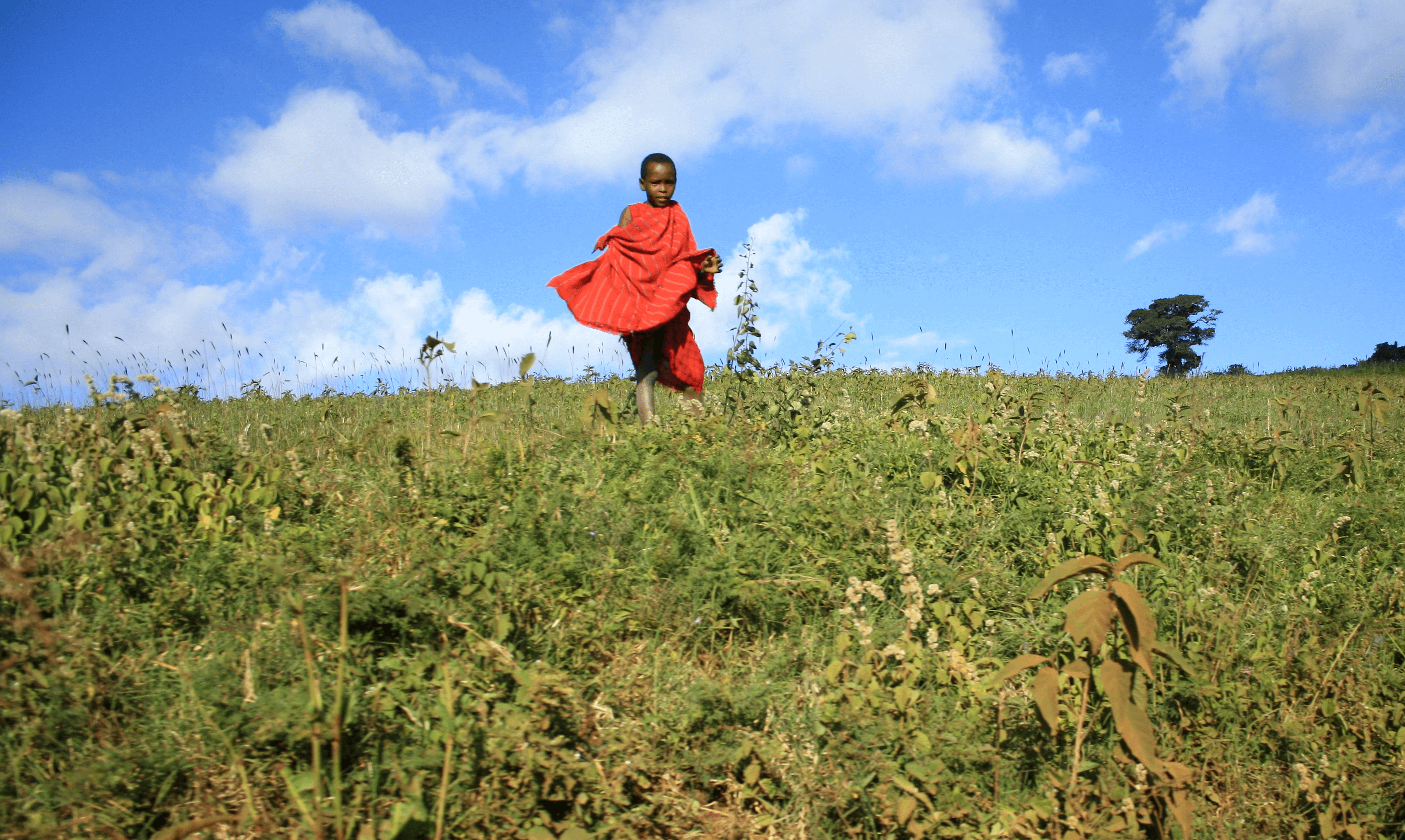 Capture the Colour: From Tanzania to Malta, via Yorkshire
