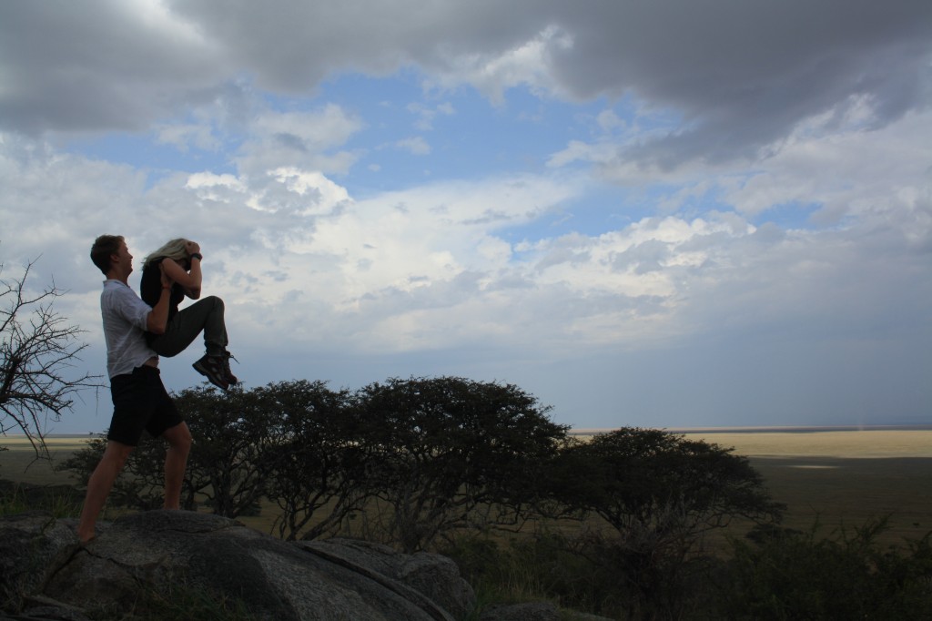 Lion King in the Serengeti 