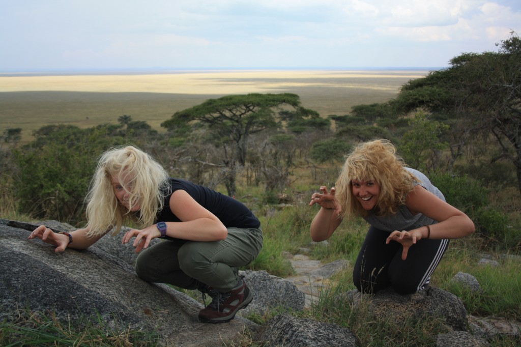 Lions in Serengeti 