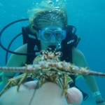 What Can You See Scuba Diving in Cancun?