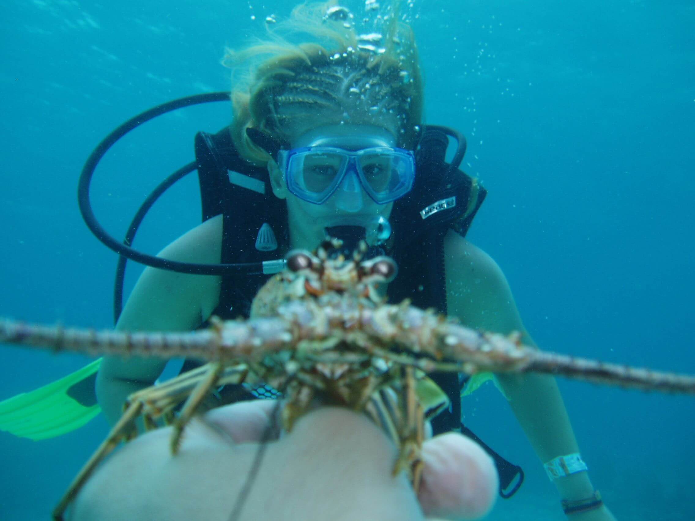 What Can You See Scuba Diving in Cancun?