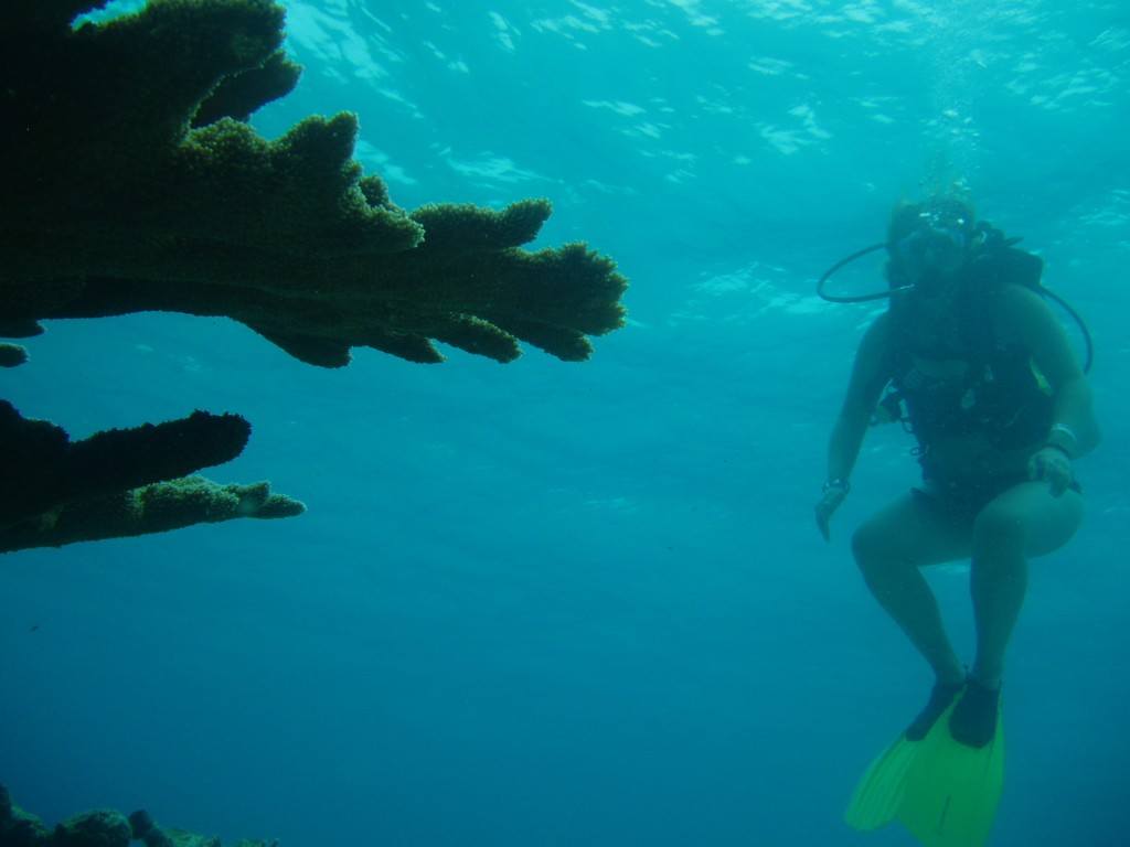 Scuba diving in Cancun Best Travel Memories