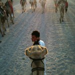 What it’s Like Riding a Camel for a Full 20 Minutes: That’s 1,200 Seconds, I Counted