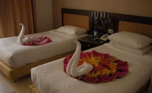 Swans in bed at the Sharm el Sheikh hotel 7 Deadly sins of an all inclusive holiday