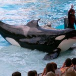Awesome Day Trips from Miami You Shouldn’t Miss