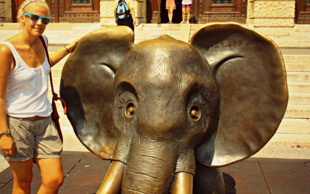 vicandelephant