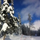 Top Tips for First Time Skiers from a Second Timer