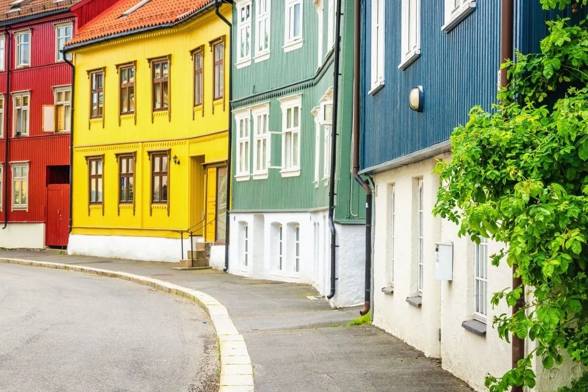 cost of oslo