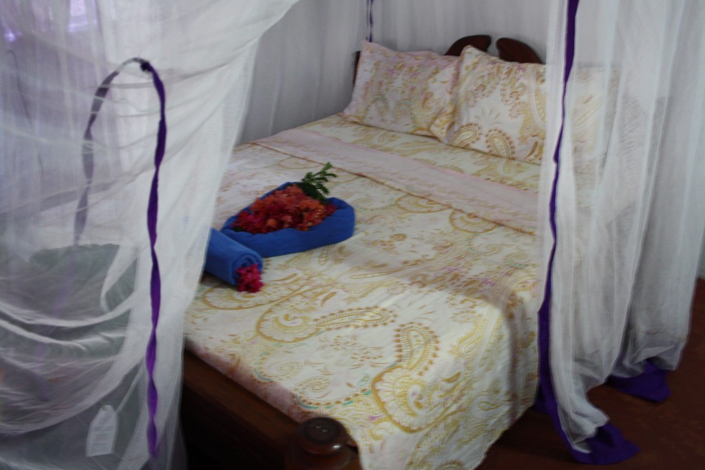 My bed at Crazy Mzungo's Cool hostel in Zanzibar
