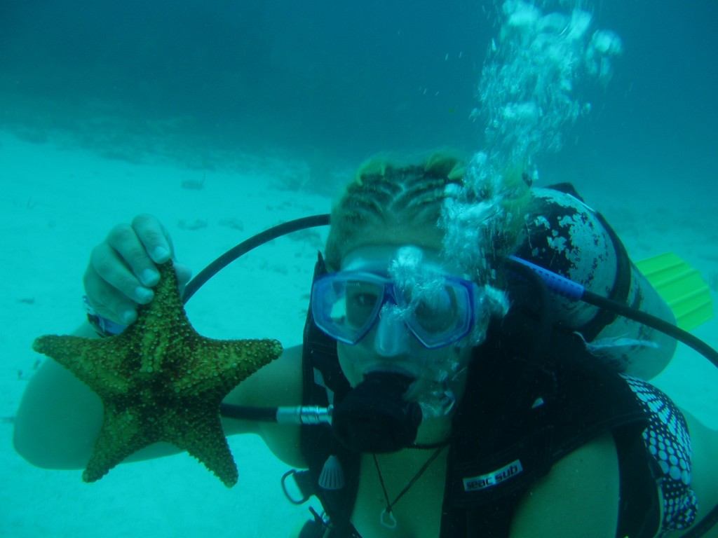 Starfish in Cancun! Scuba diving in Cancun, Mexico