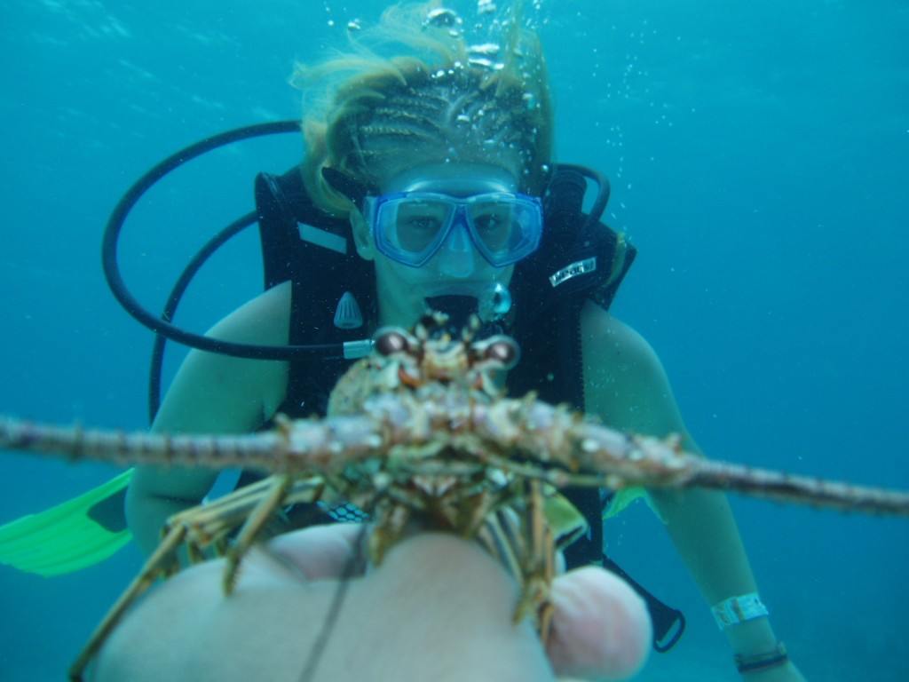 What can you see scuba diving in Cancun? Scuba diving in Cancun
