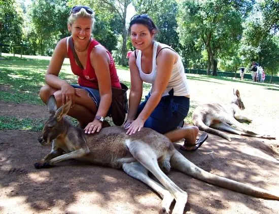 Me and the kangaroo at Australia Zoo