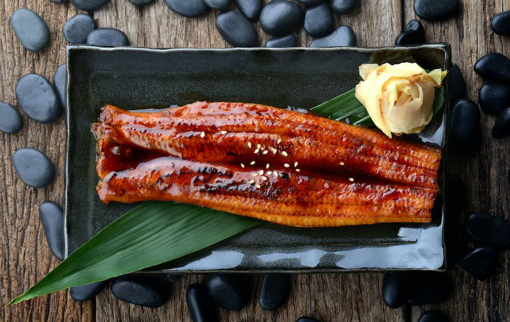 Japanese eel grilled or Unagi ibaraki set on plate in Japanese style with studio lighting.