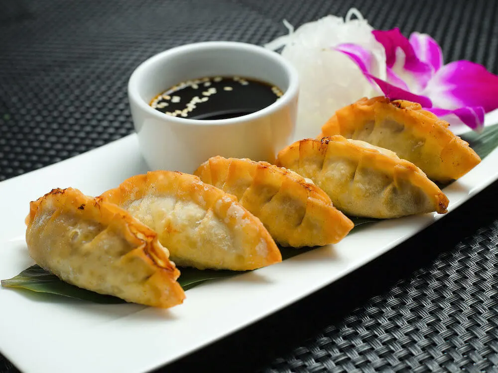 Gyoza best food in Japan