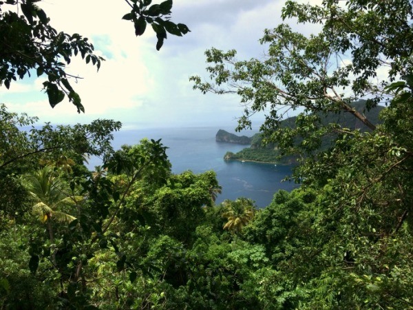Zip lining St Lucia