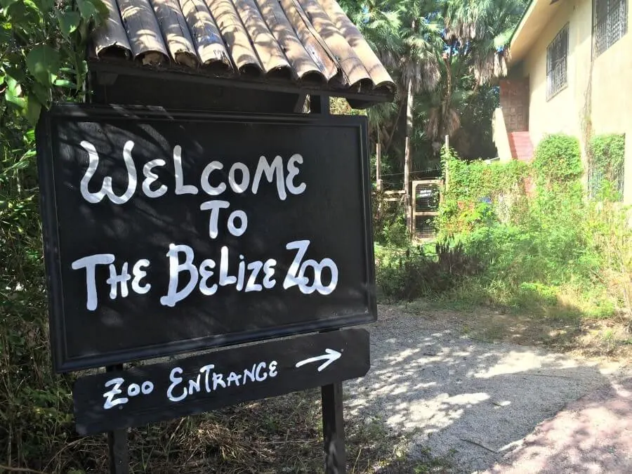 Animals of Belize Zoo