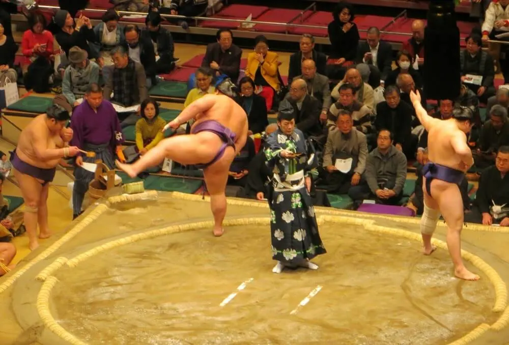 What is sumo wrestling?