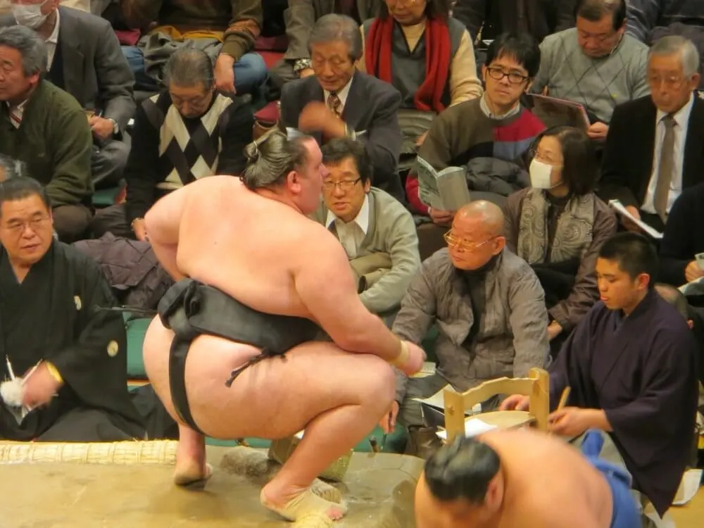 sumo wrestlers in tokyo