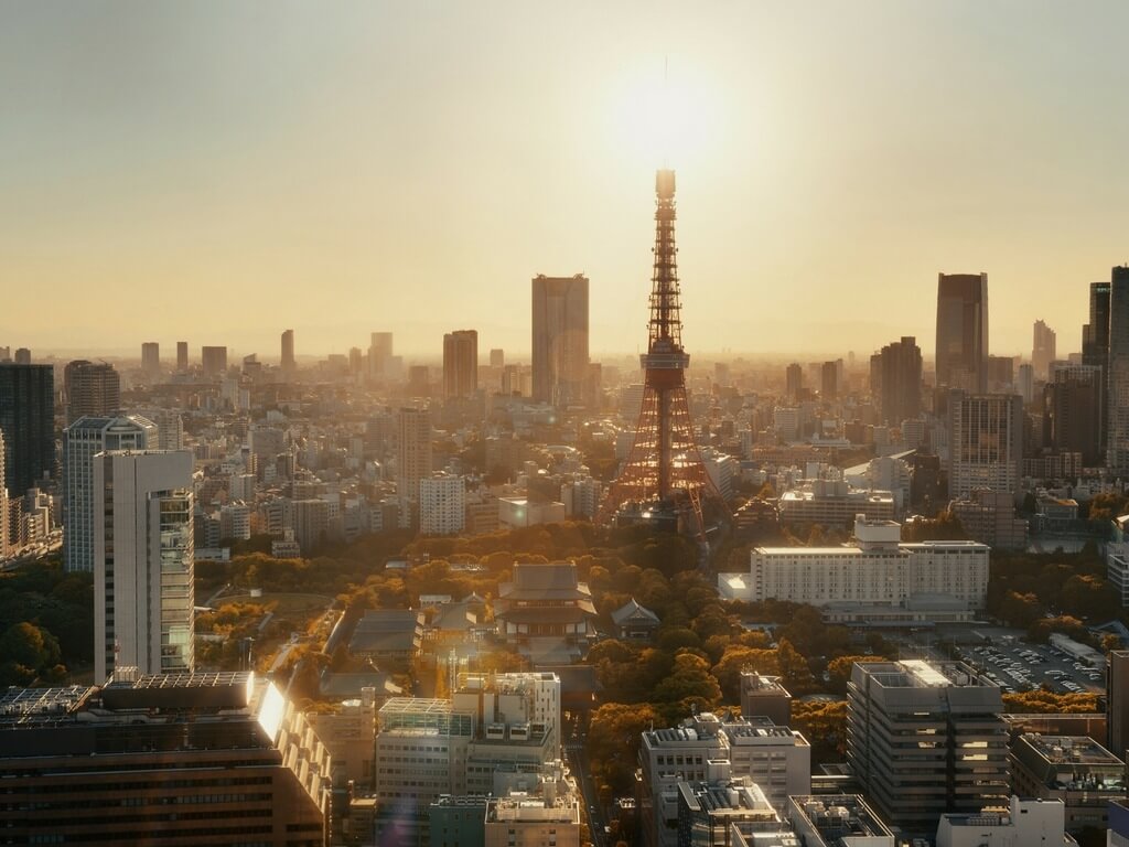 View over Tokyo at sunset 