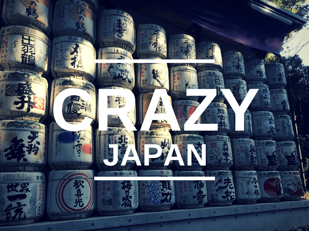 crazy things I saw in Japan