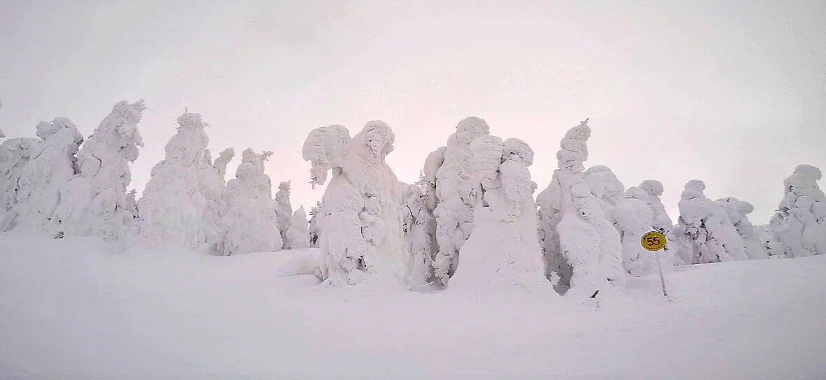 Skiing up mount zao