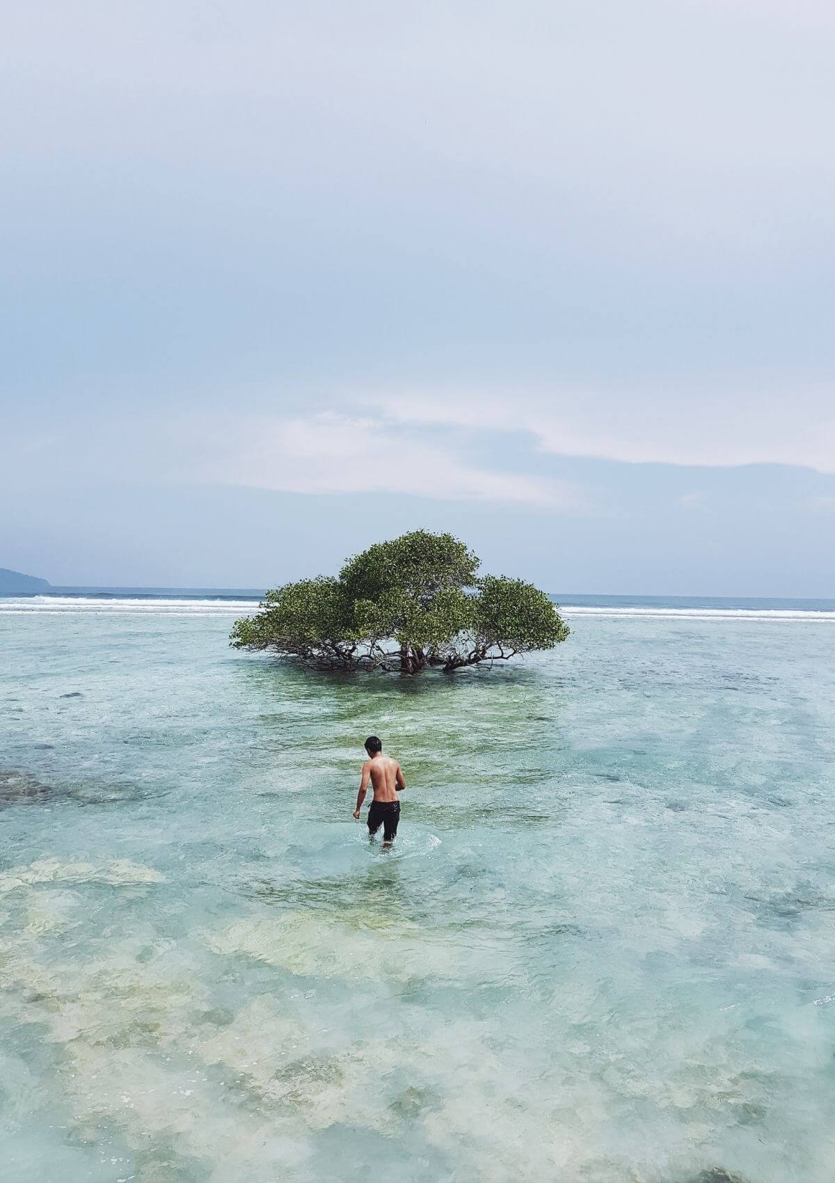coolest things to do on gili t