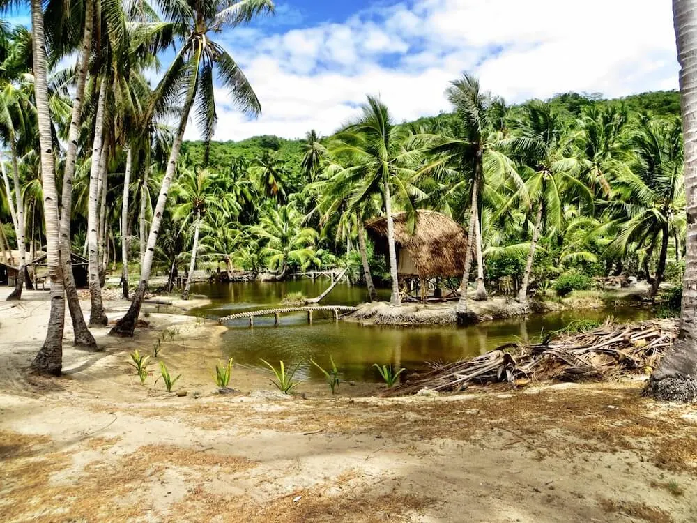 love life on a tao expedition