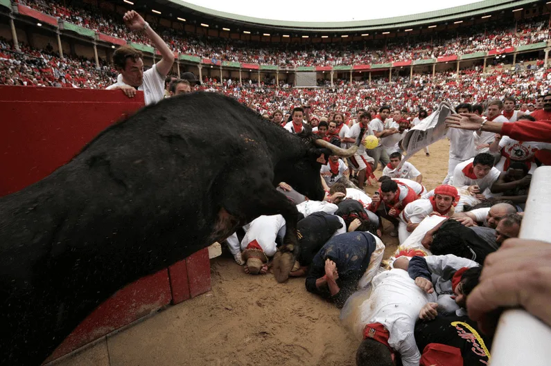 7 of the Most Horribly Cruel Festivals Around the World
