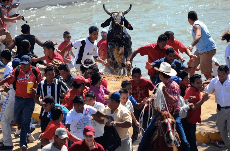 bull festival in MExico