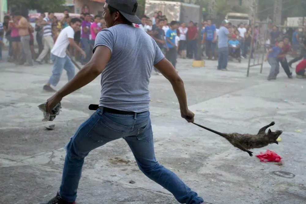 cruellest festivals in the world 