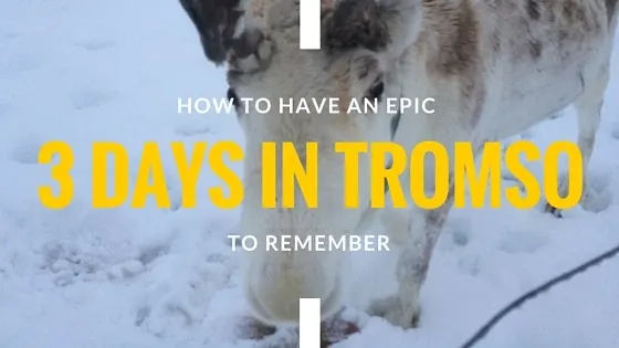 How-to-have-an-epic-3-days-in-tromso