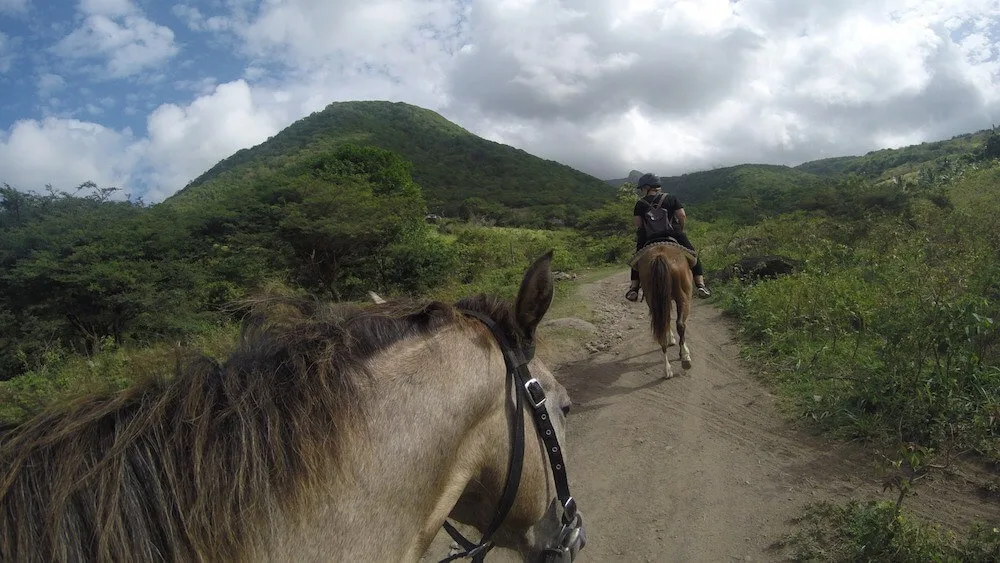 St Kitts horse riding 