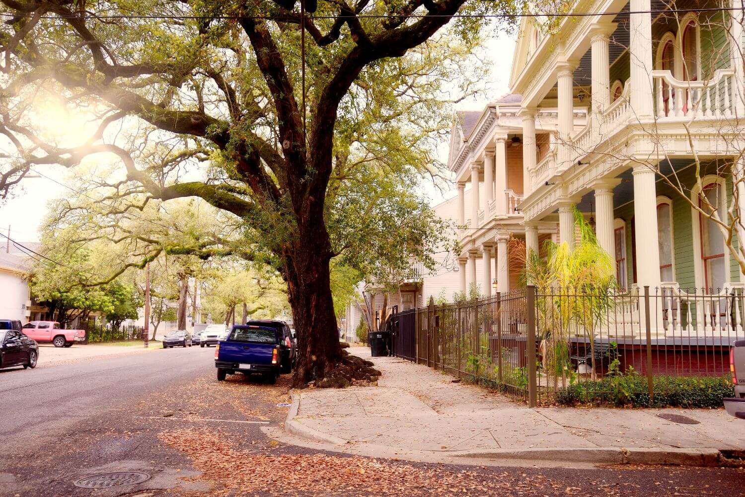 cheap things to do in new orleans