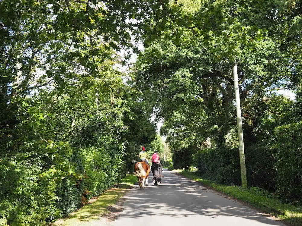 Hoburne Bashley New Forest 