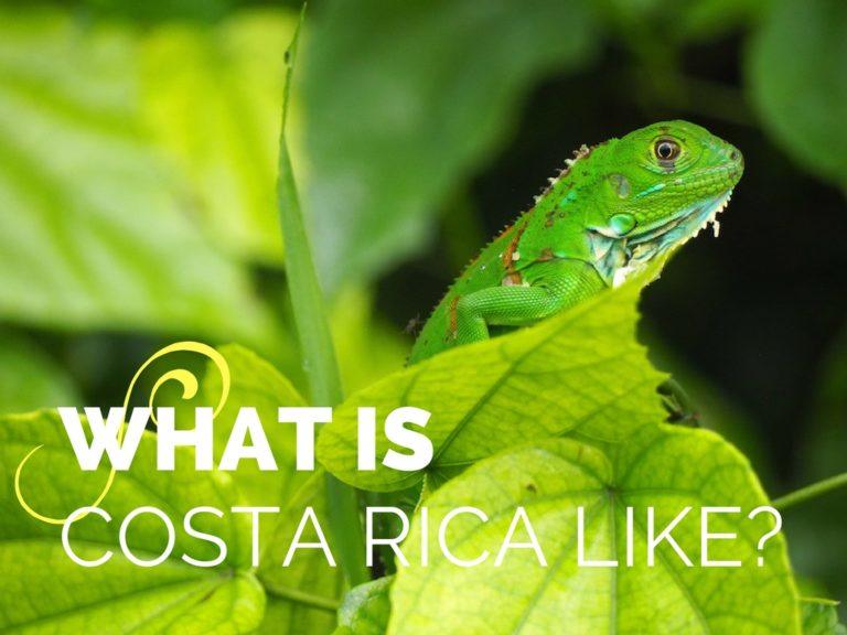 What is Costa Rica Like? Everything You Need to Know