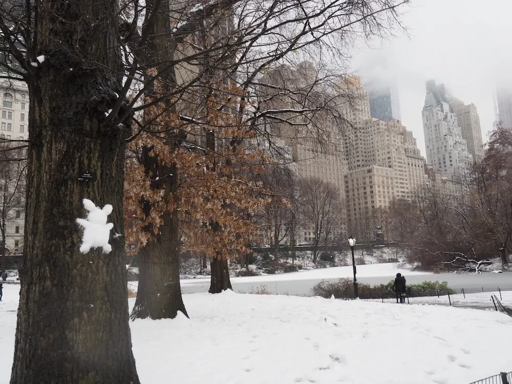 Snow in Central Park 