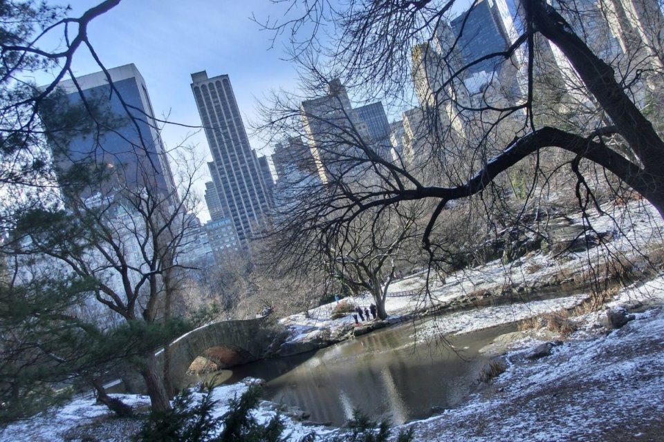 NYC in December 12 Top Tips for New York at Christmas in 2024