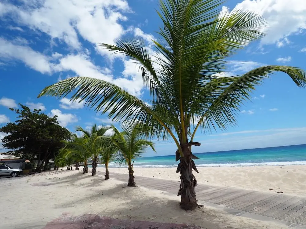 best souvenirs from Barbados