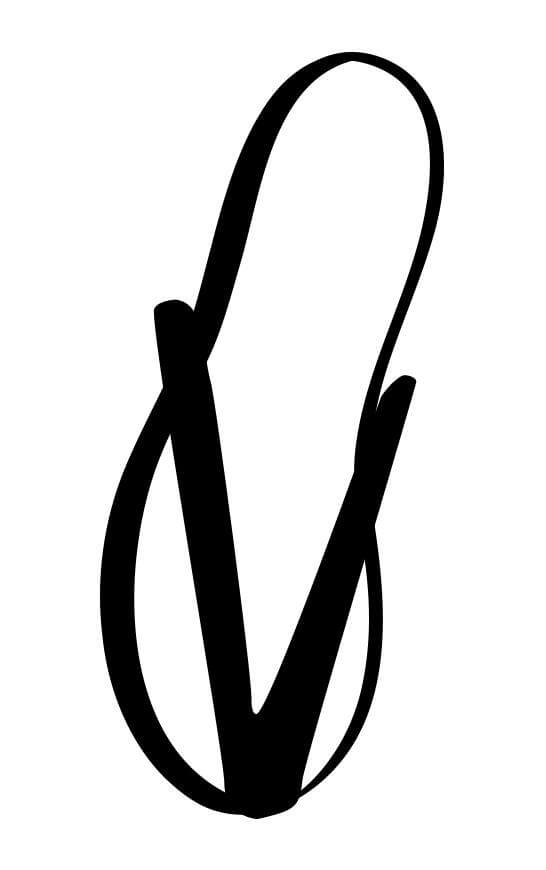 Logo for VickyFlipFlop