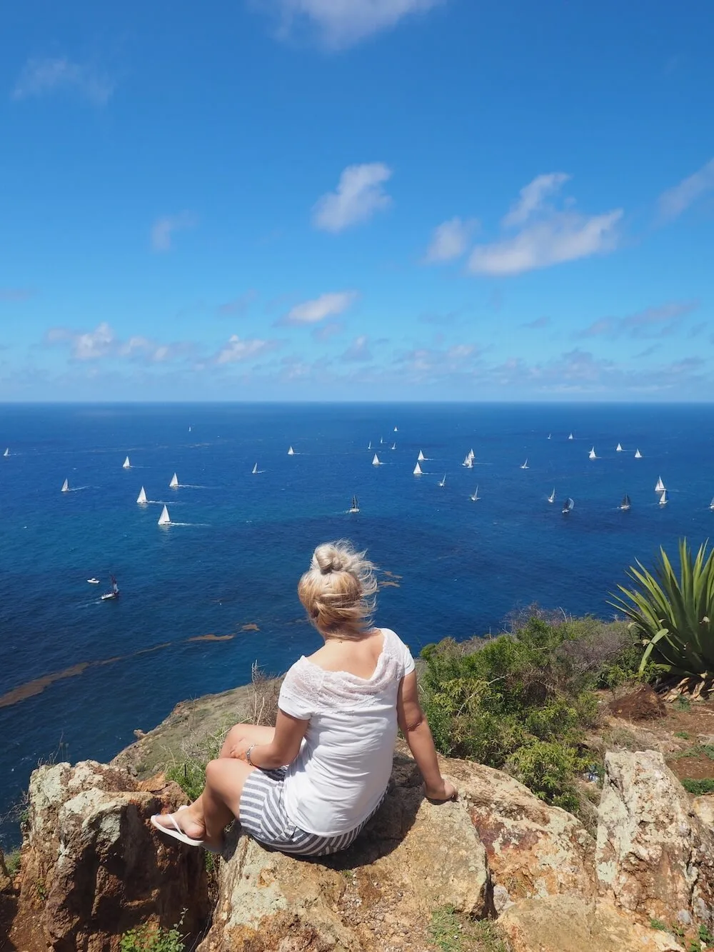 Pink Panther Safari Tour Antigua