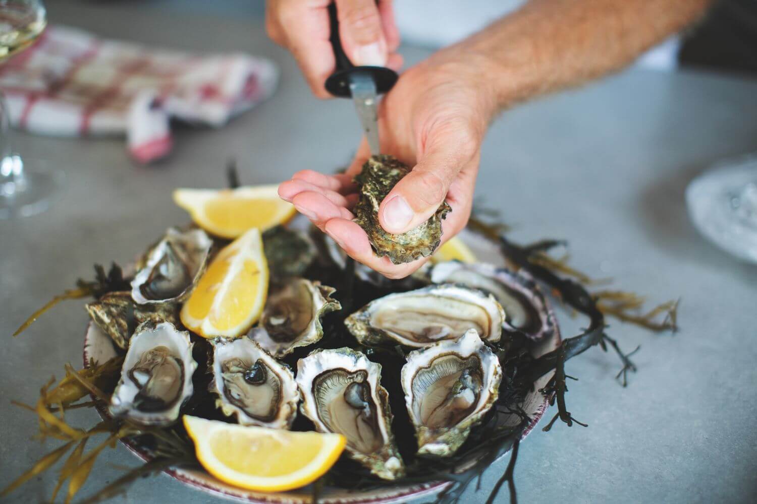 guide to Knysna oyster festival