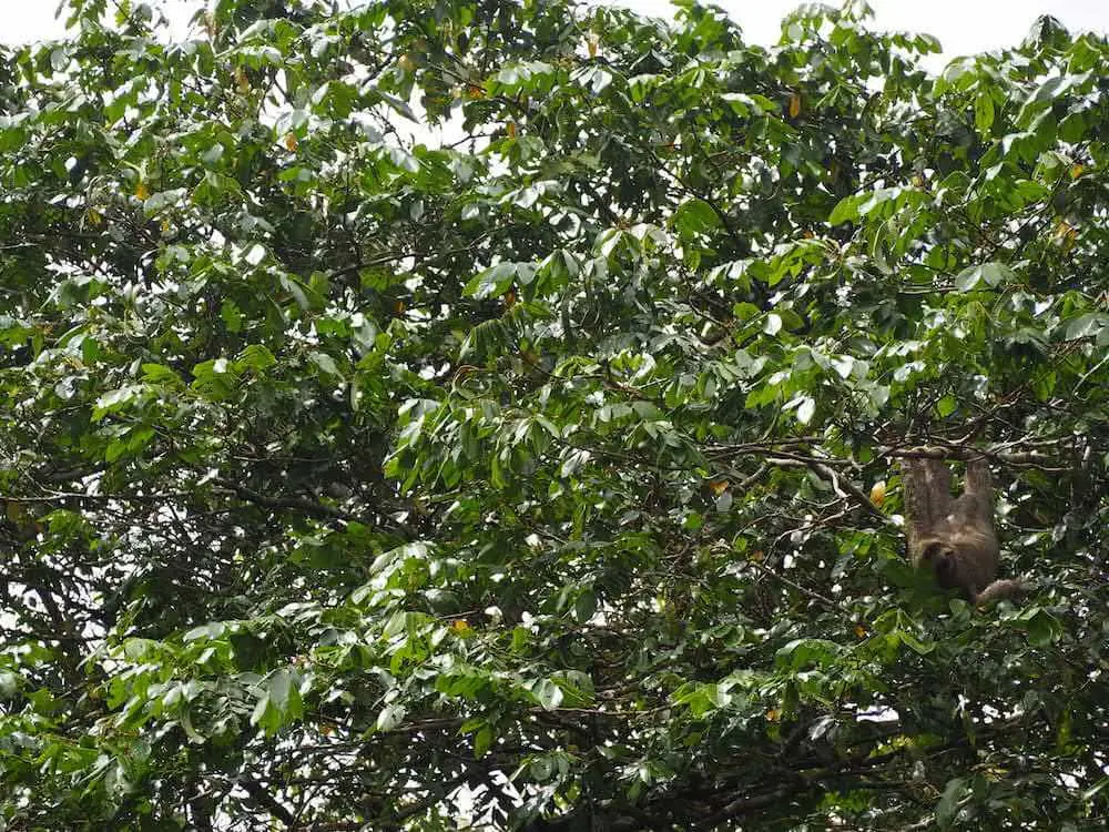 Things to see in Costa Rica