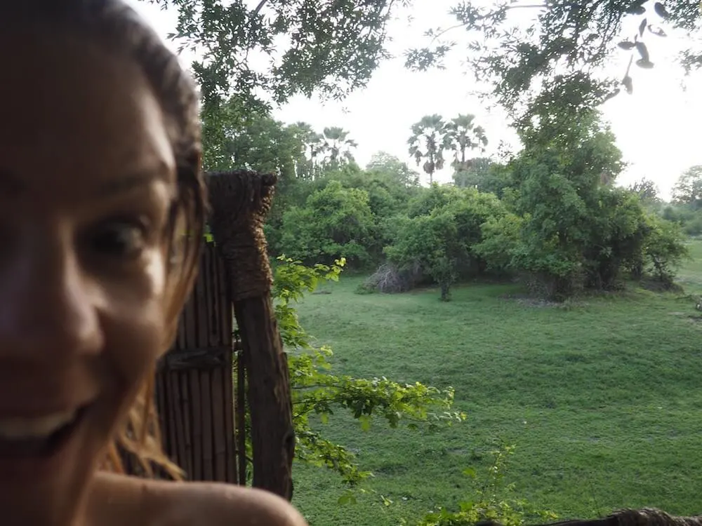 Elephants at Mvuu Lodge 