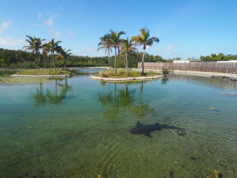 14 Fun Things to Do in Hobe Sound, FL (+ Where to Eat & Stay)