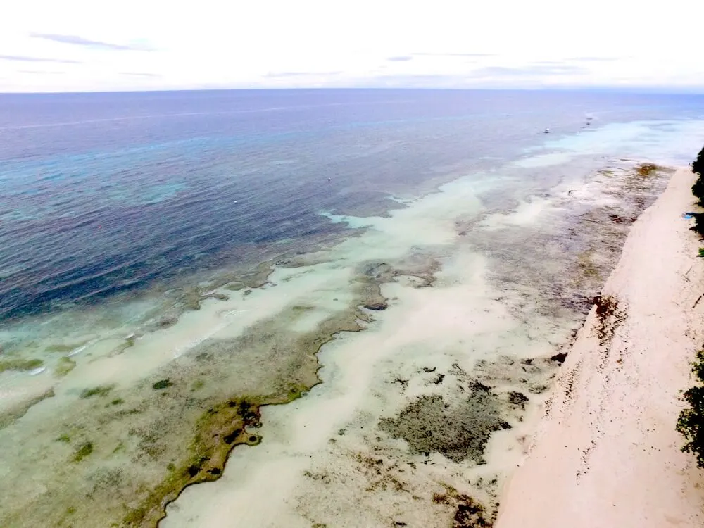 Visit Bohol as a tourist