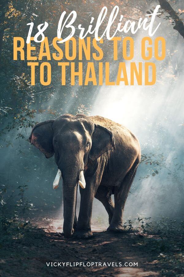 reasons to go to thailand