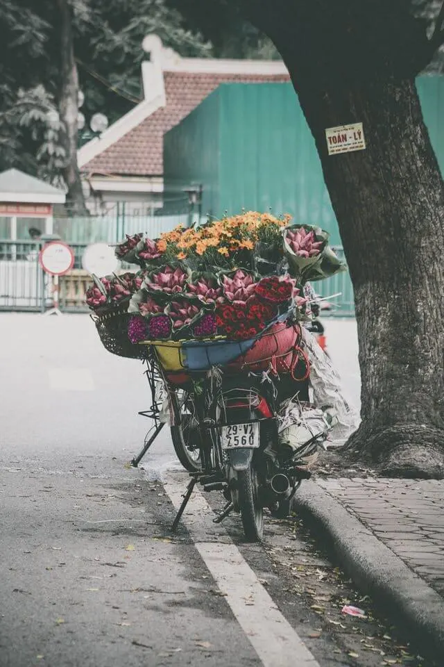 Coolest activities in Hanoi