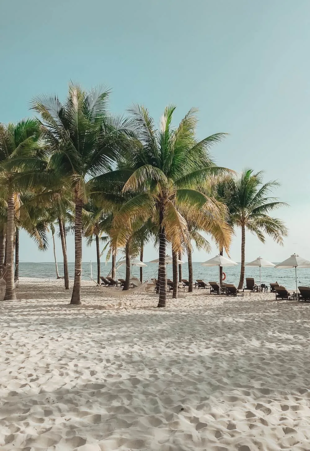 things to do in phu quoc