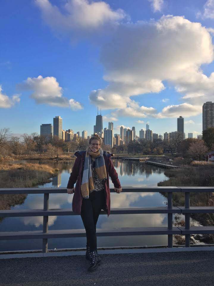 Chicago skyline vickyflipflop